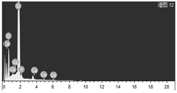 A preparation method of a new type of microgel bone powder for tissue repair after osteoma surgery