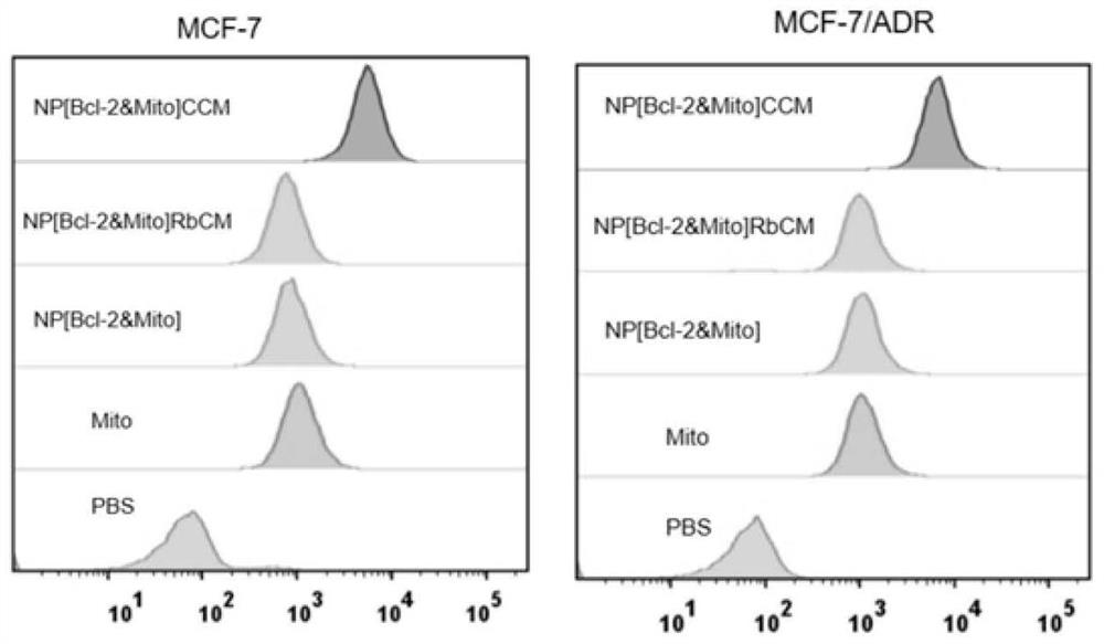 Homologous cancer cell membrane coated nucleic acid-chemotherapeutic drug complex nanoparticles