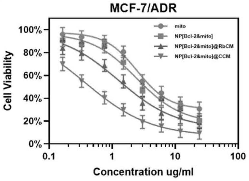 Homologous cancer cell membrane coated nucleic acid-chemotherapeutic drug complex nanoparticles