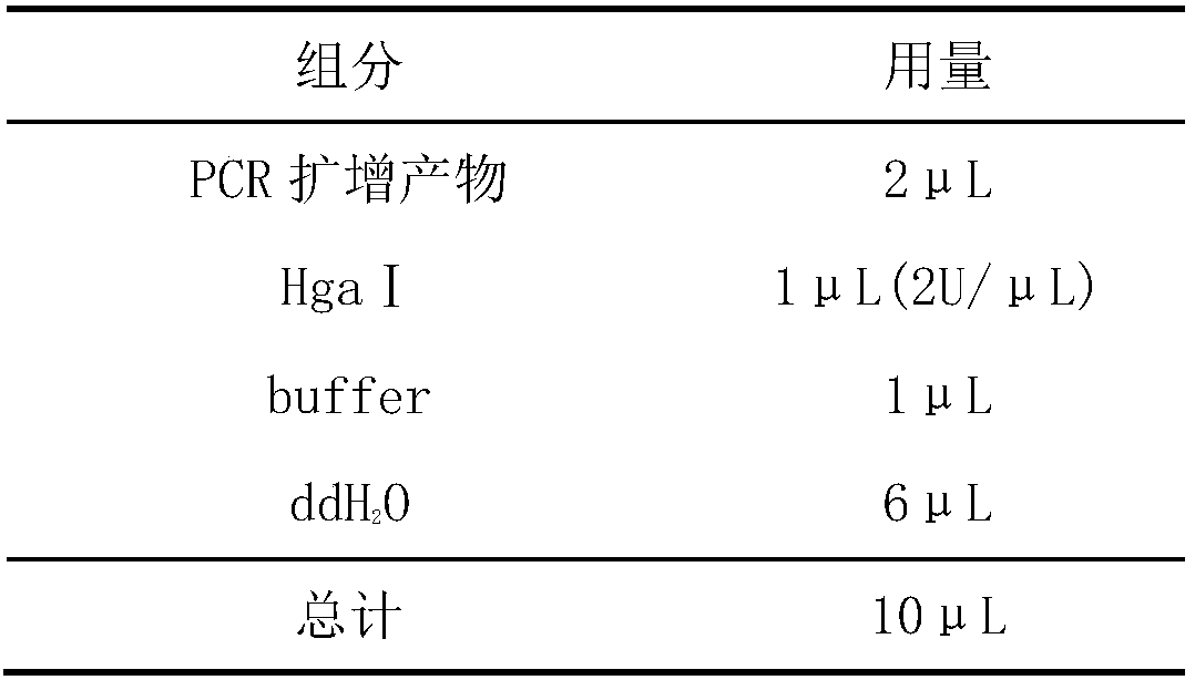 Molecular marker for identifying duck reproduction trait based on adiponectin (ADP) gene and application of molecular marker