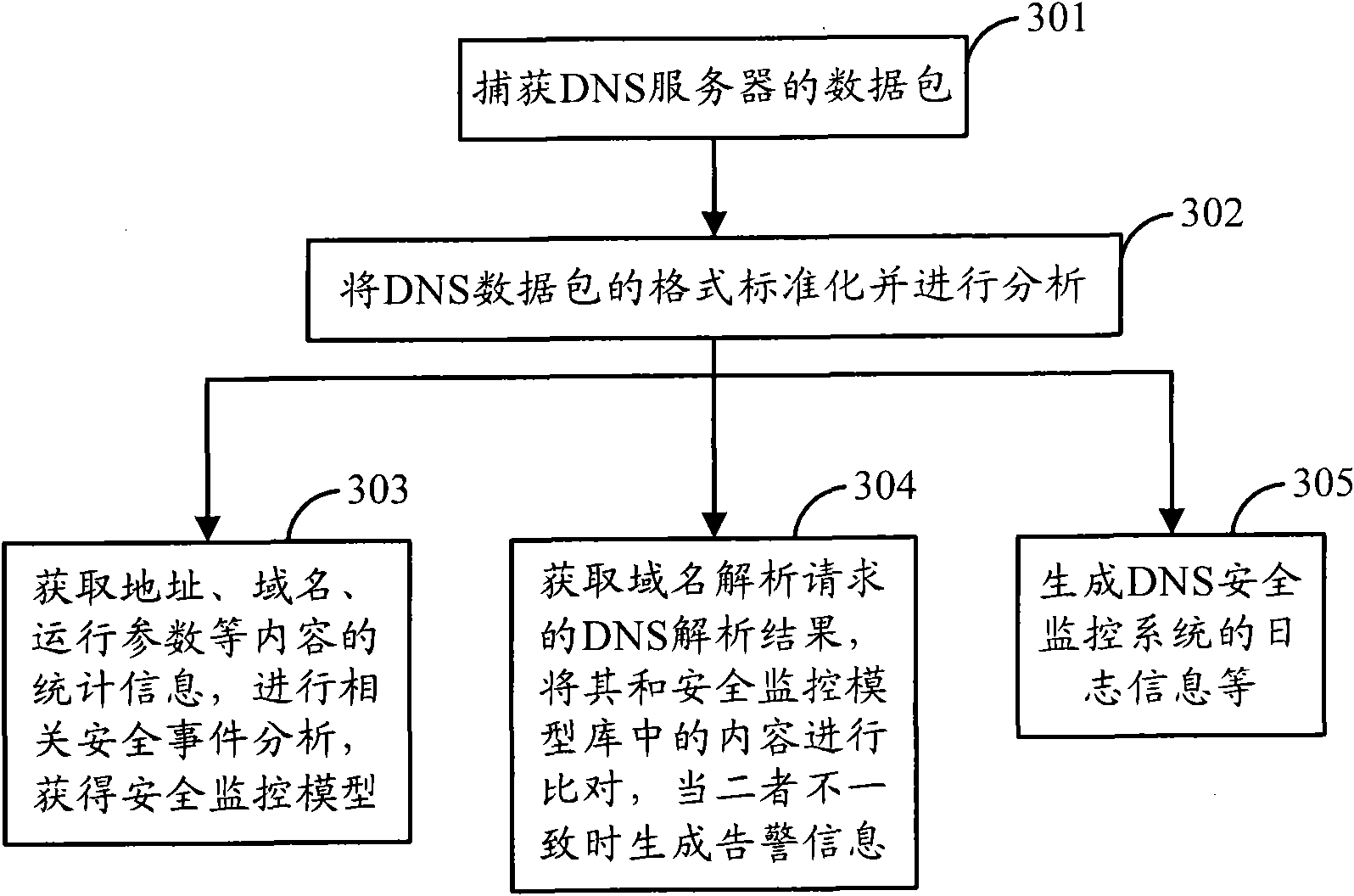 DNS (Domain Name Server) safety monitoring system and method