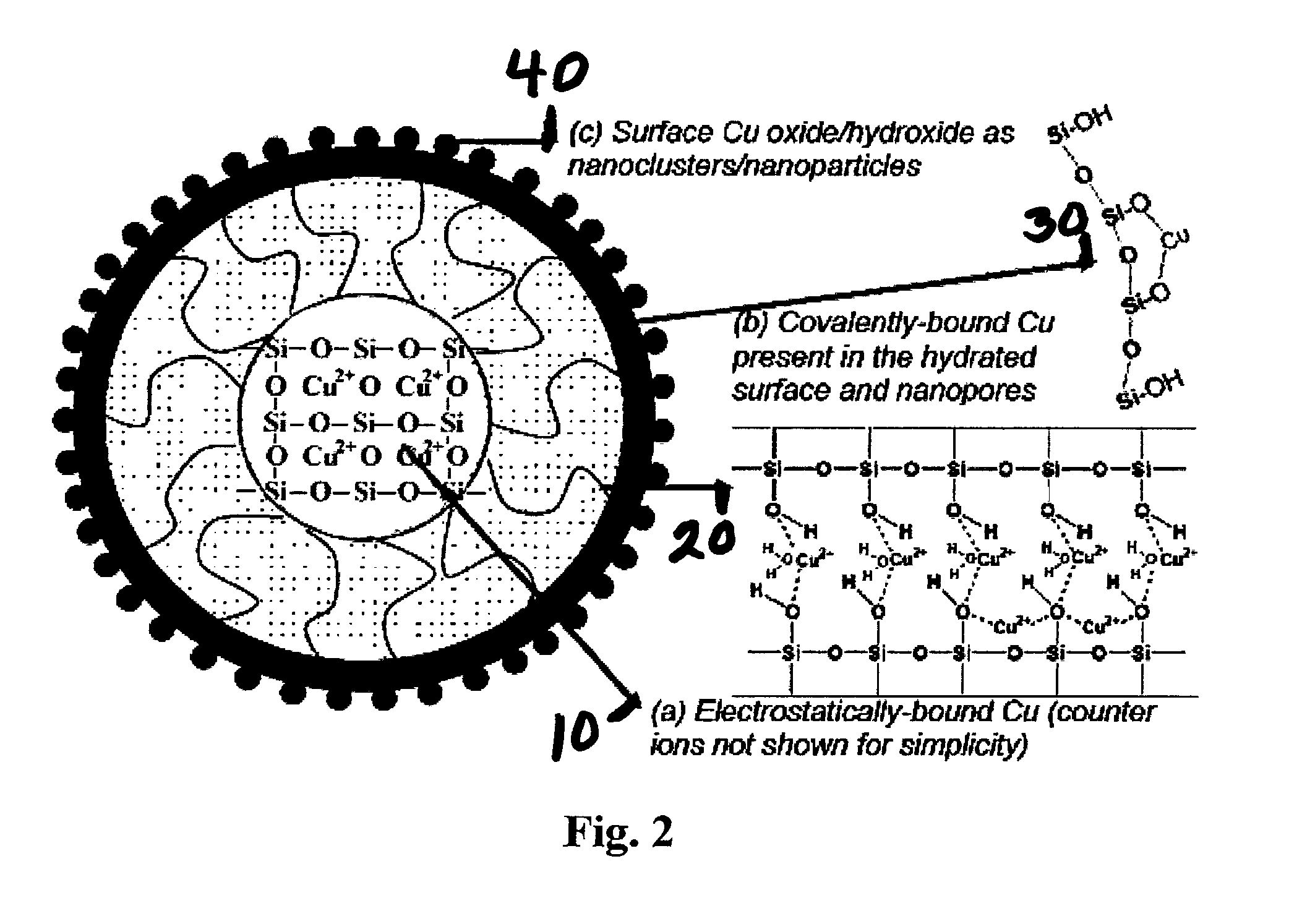 Silica-based antibacterial and antifungal nanoformulation