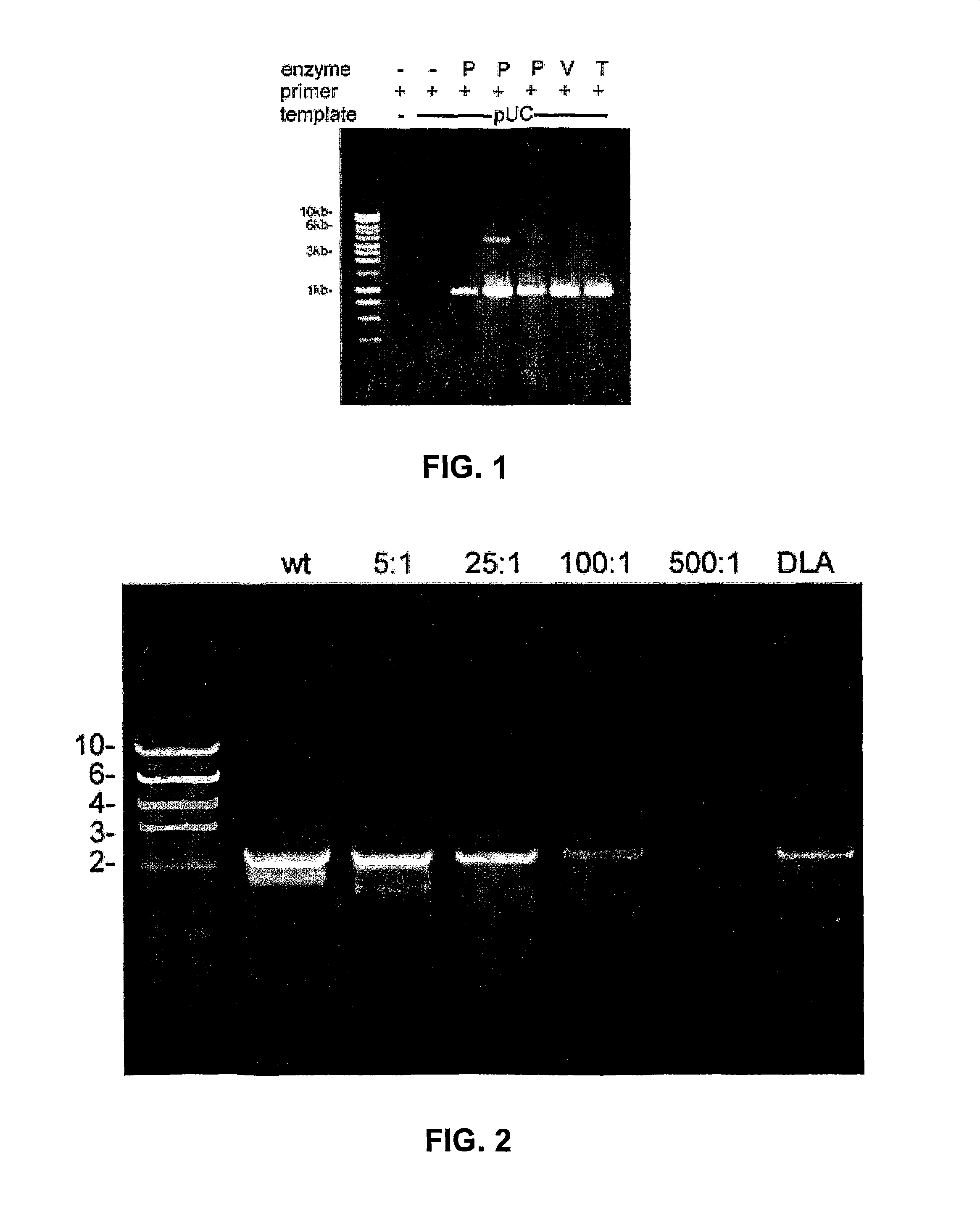 Thermostable viral polymerases and methods of use