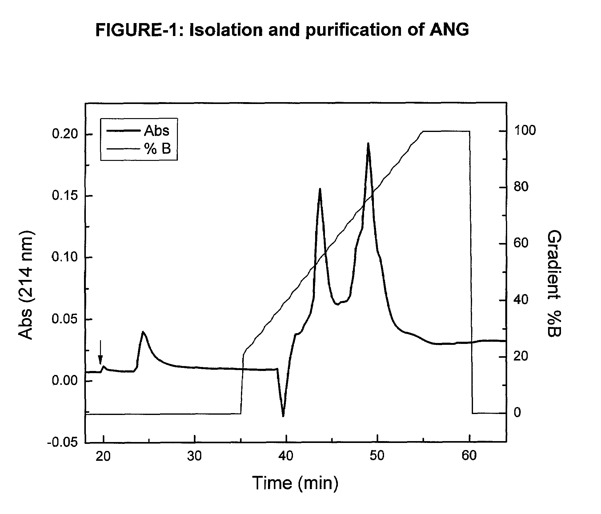 Angiogenin complexes (ANGex) and uses thereof