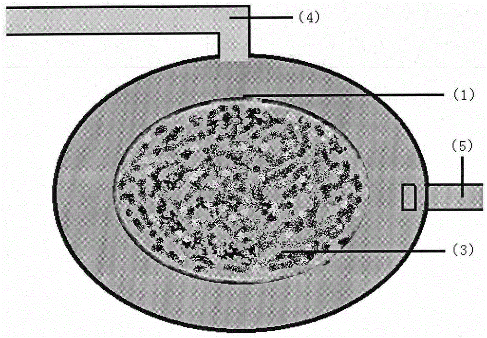 Drainage engineering construction method capable of achieving natural accumulating, permeating and purifying