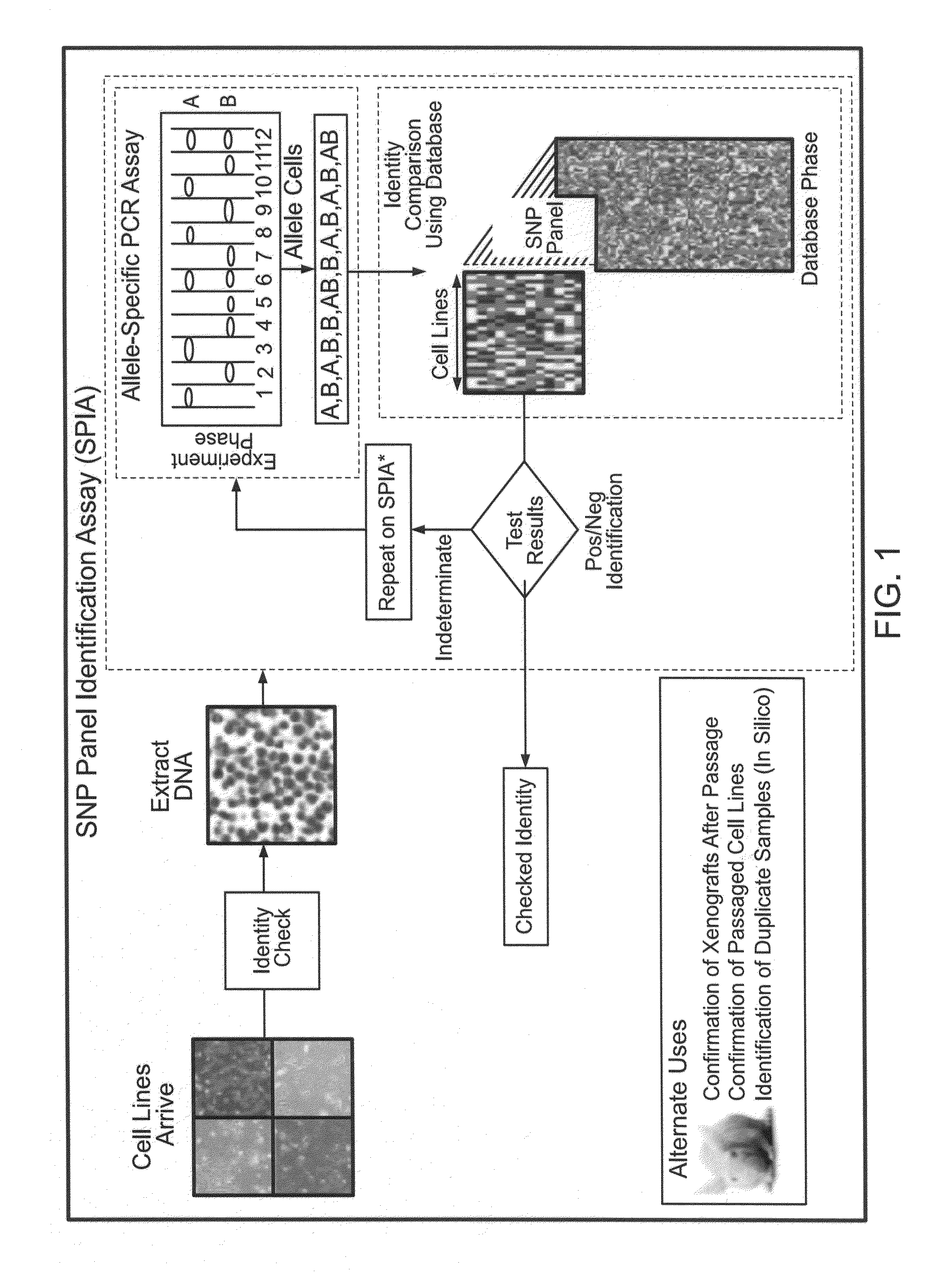 Methods for identifying and using SNP panels