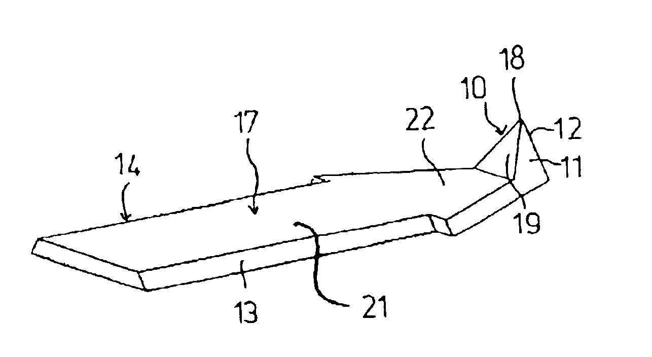 SPM sensor and process for producing it