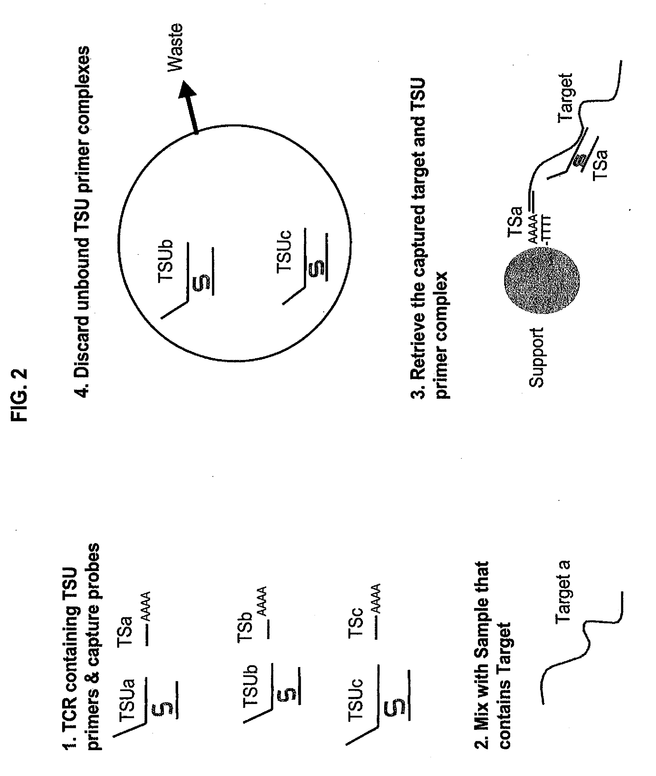 Methods and compositions for nucleic acid amplification