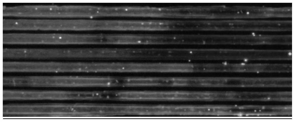 A full-spectrum perovskite nanowire array and its preparation method