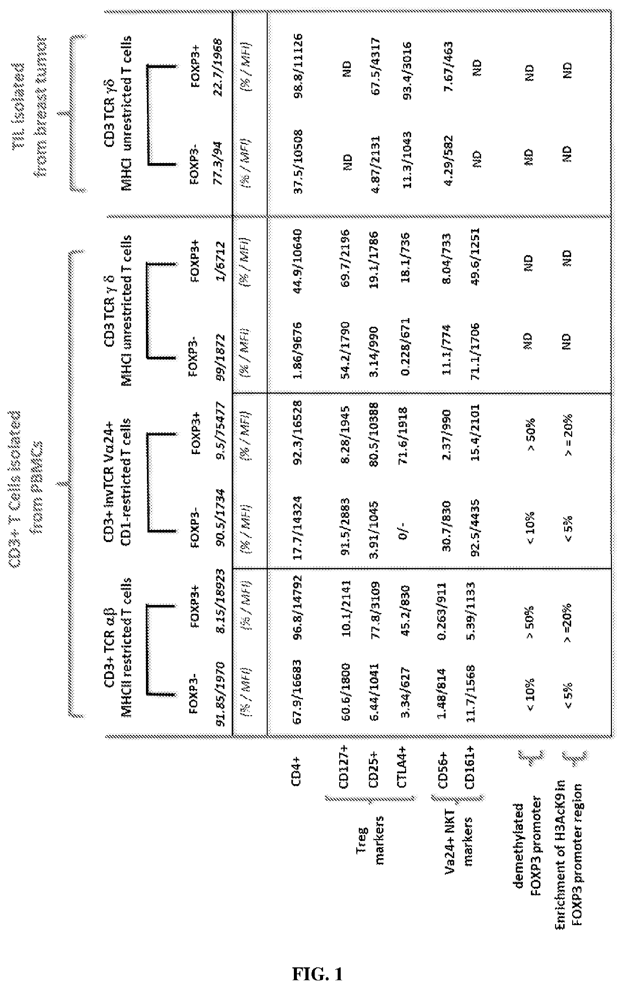 Ex vivo generation of MHCII restricted CD4<sup>+ </sup>FOXP3<sup>+ </sup>regulatory T cells and therapeutic uses thereof