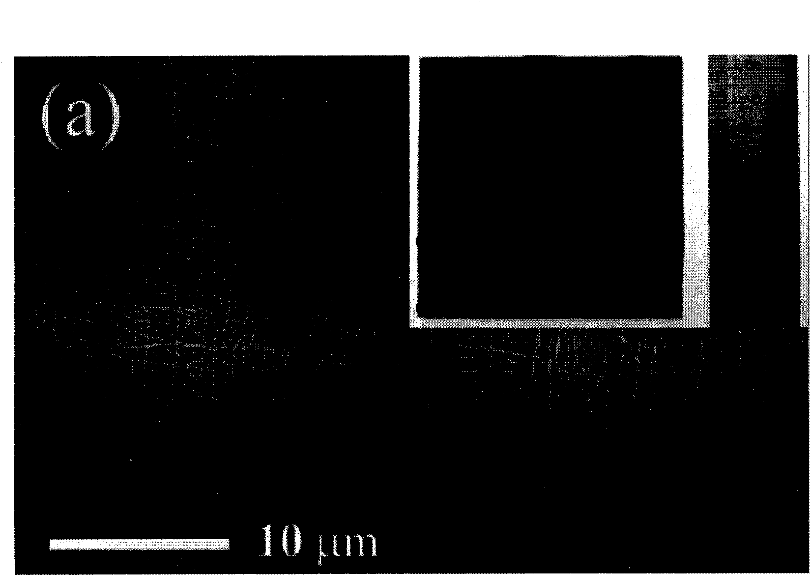 Carbon nano tube Poisson ratio material