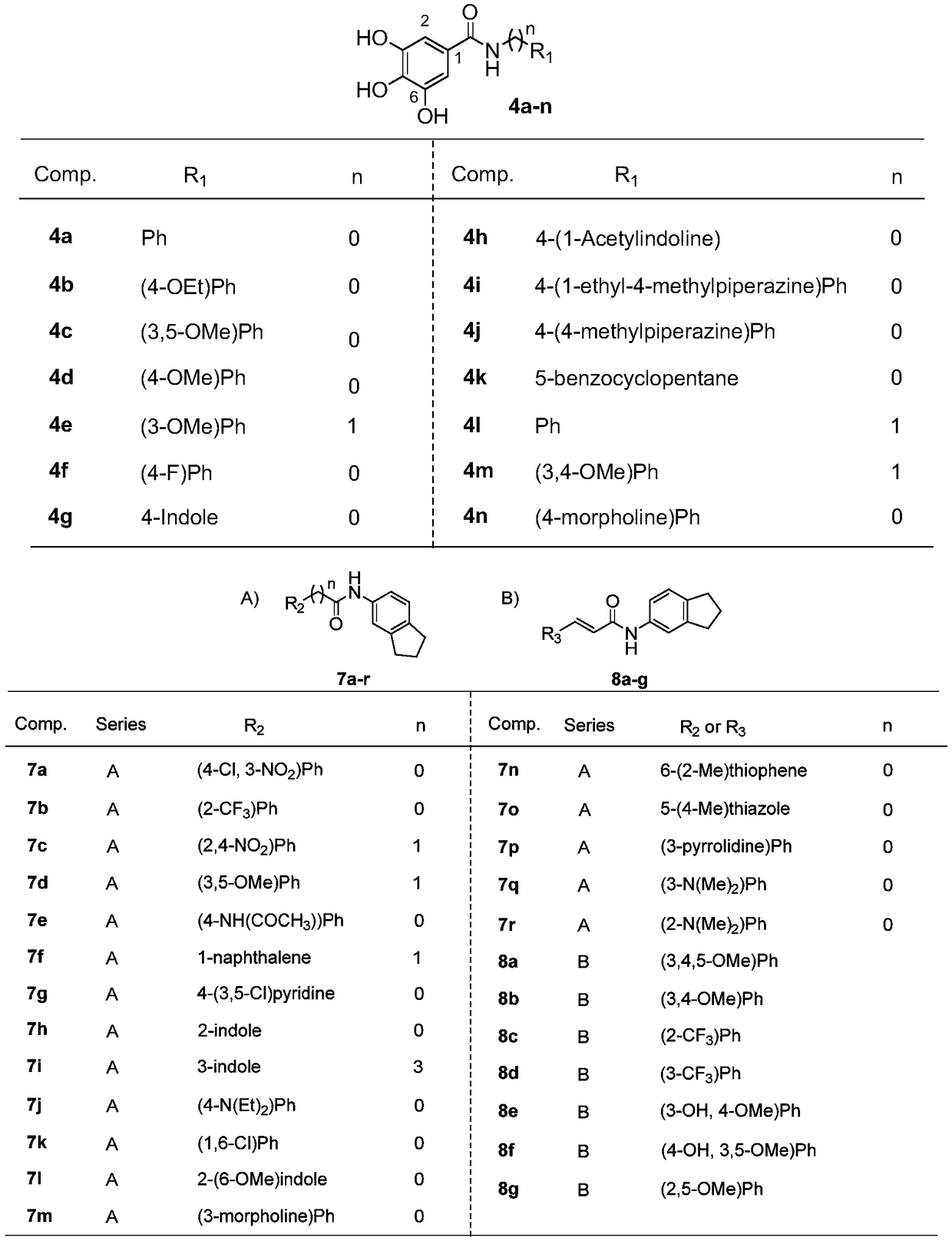 Methyl gallate analogue containing amide structure and application