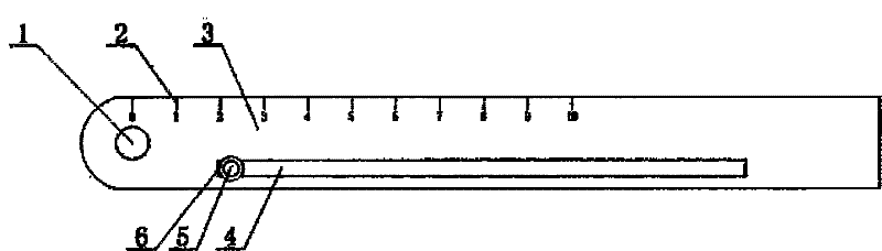 Ruler capable of being used for drawing circles