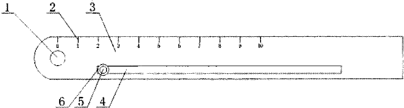 Ruler capable of being used for drawing circles