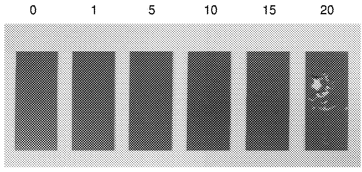 Durable antimicrobial coating composition