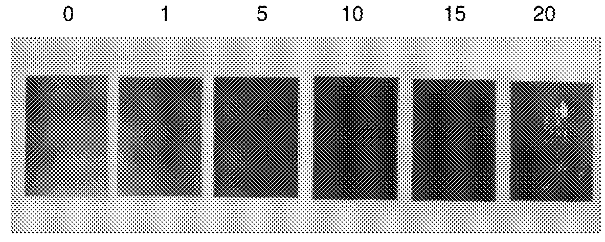 Durable antimicrobial coating composition