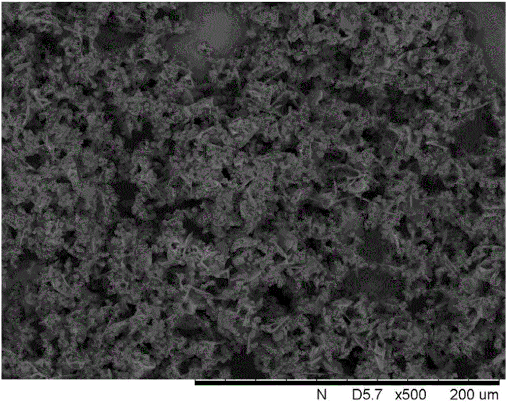 Sulfaquinoxaline cobalt-nickel nano composite material and preparation method thereof