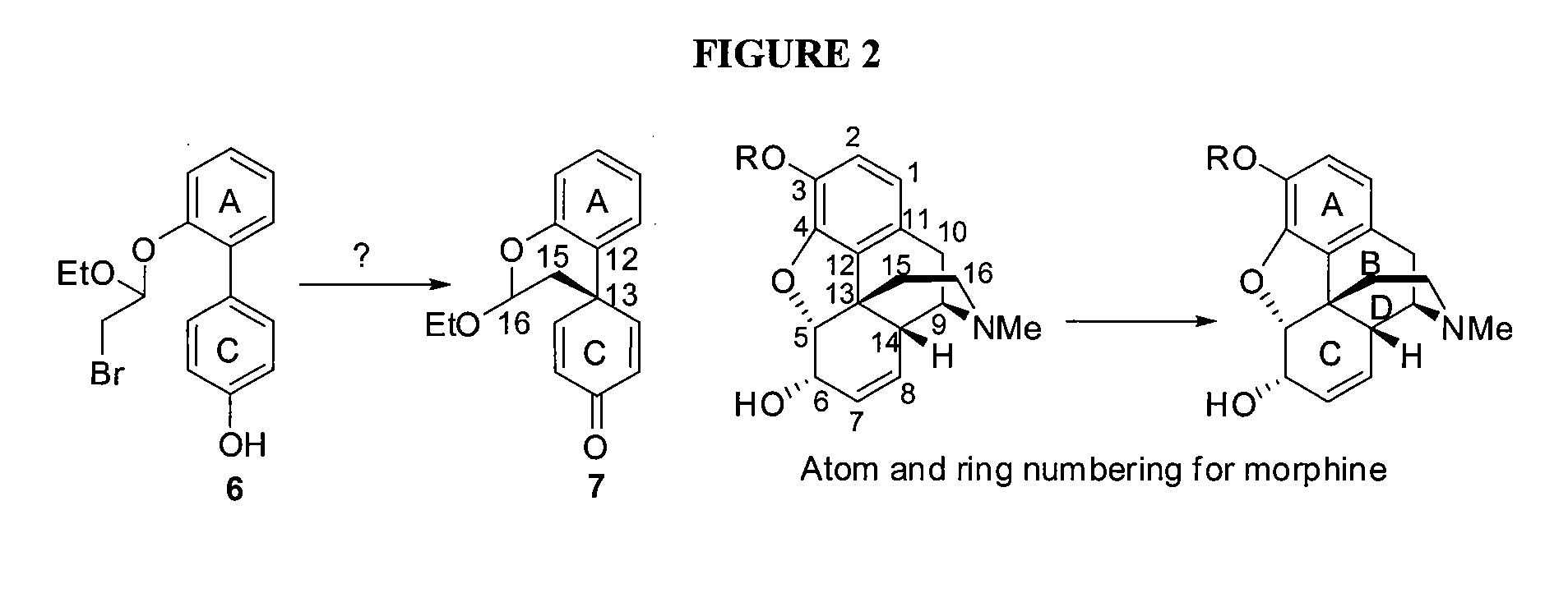 Efficient Synthesis Of Morphine And Codeine