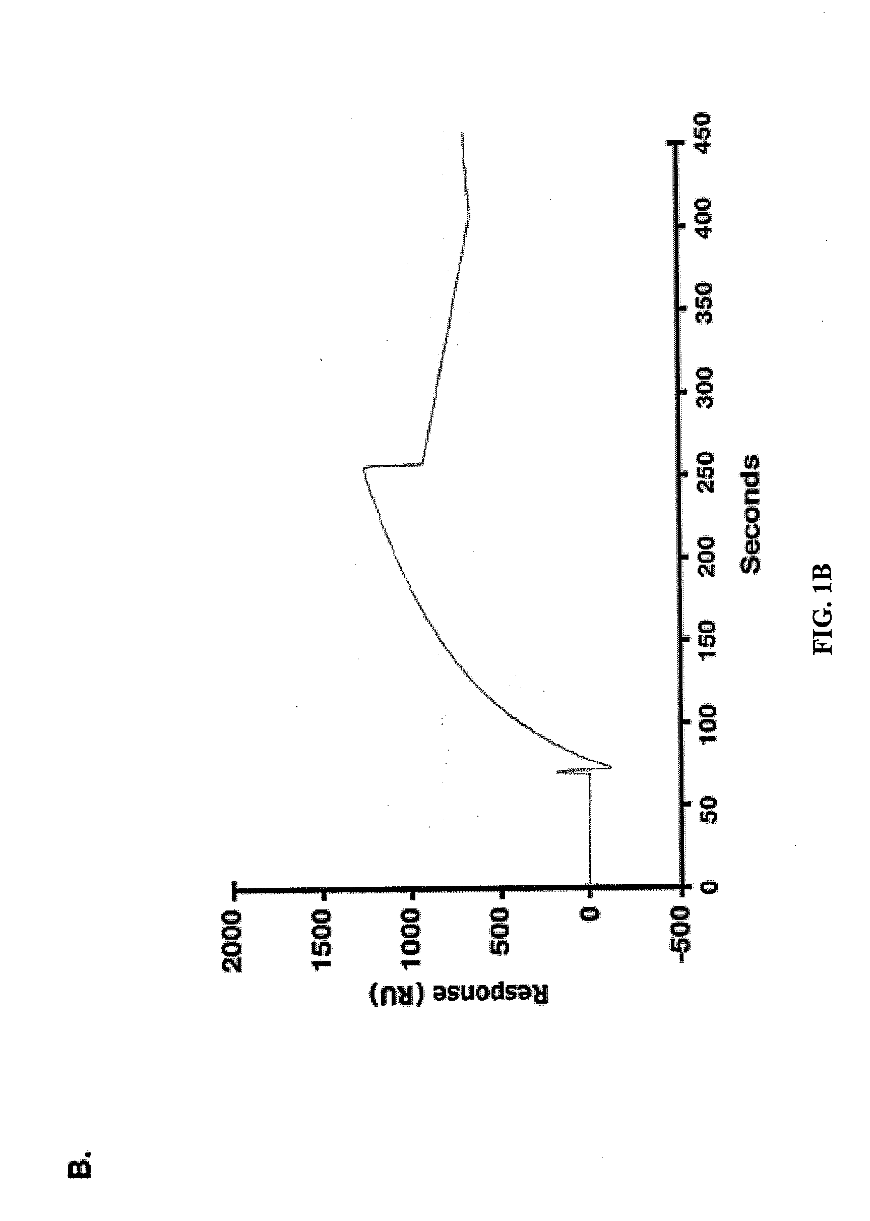 Small molecule inhibitors of muc1 and methods of identifying the same