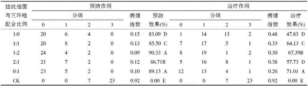 Rice-grass carp symbiotic insect-killing breeding method