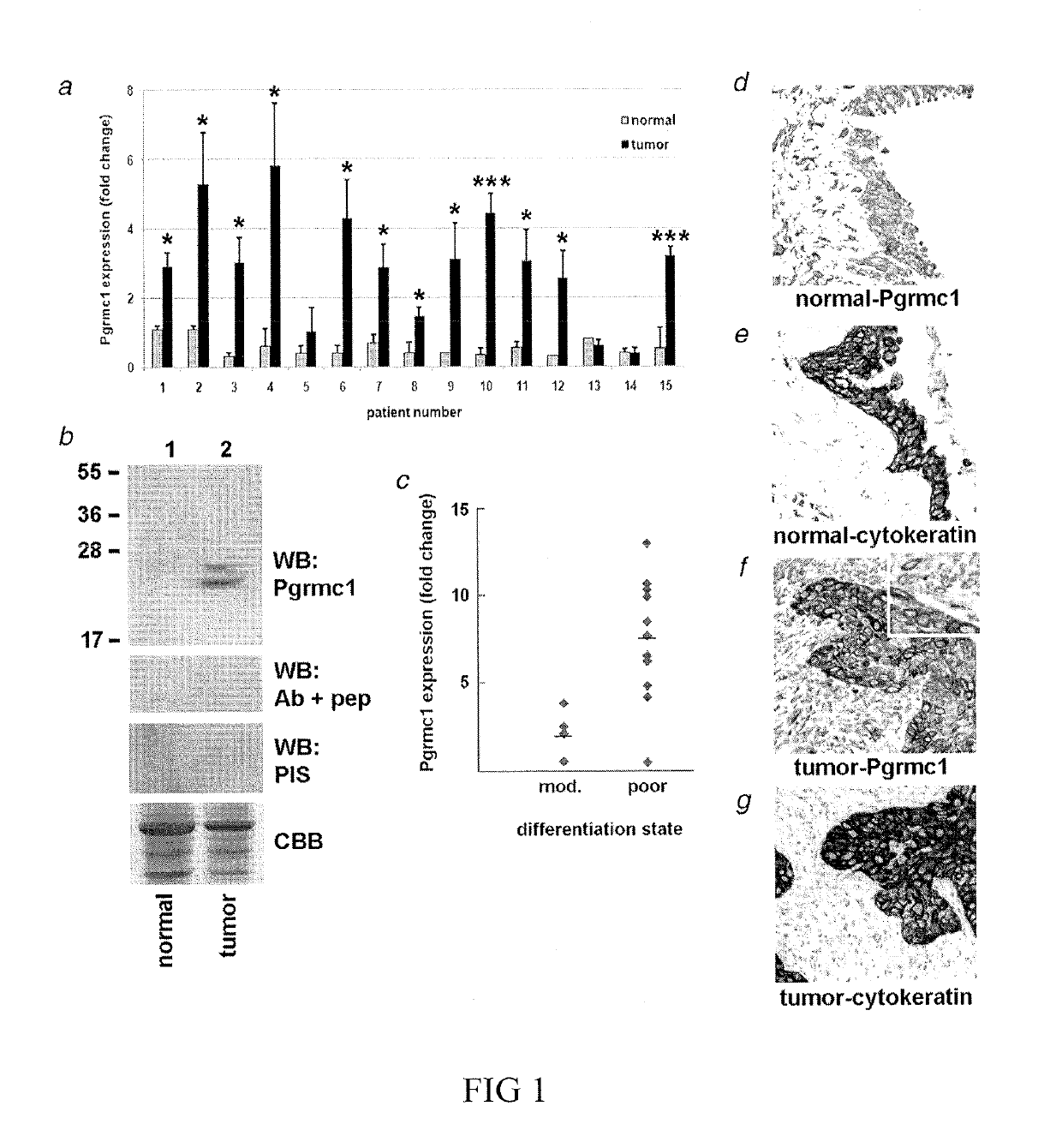 Secreted tumor-associated cytochrome as a blood-based biomarker for cancer