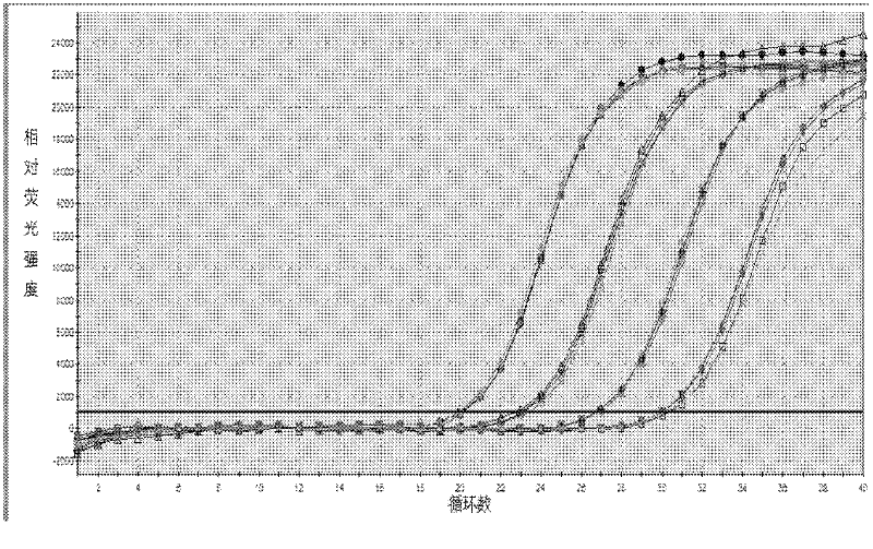 PCR (polymerase chain reaction) fluorescence quantitative rapid test kit and method for chlamydia trachomatis