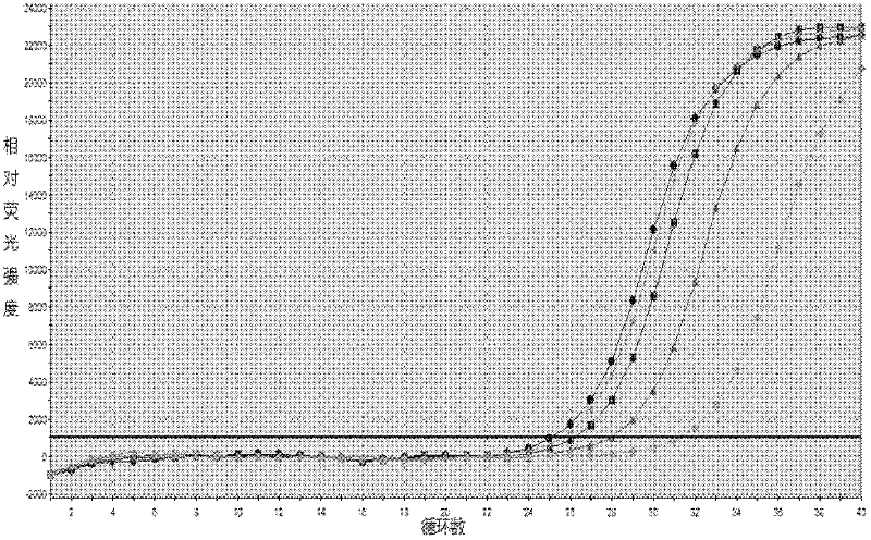 PCR (polymerase chain reaction) fluorescence quantitative rapid test kit and method for chlamydia trachomatis