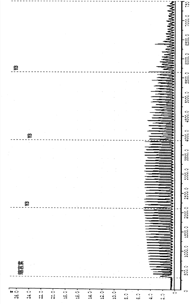 Pharmaceutical composition for treatment of qi-blood deficiency, irregular menstruation, metrorrhagia and leukorrheal diseases and preparation method thereof