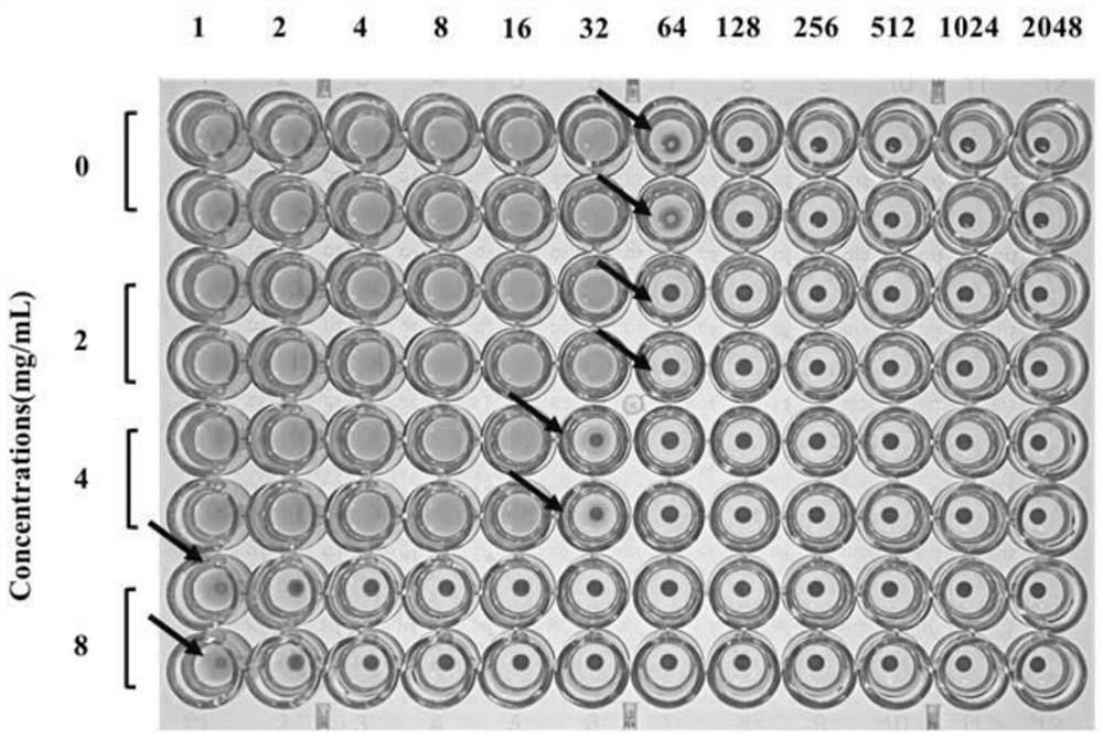 Application of nicotinamide in preparation of medicine for resisting porphyromonas gingivalis