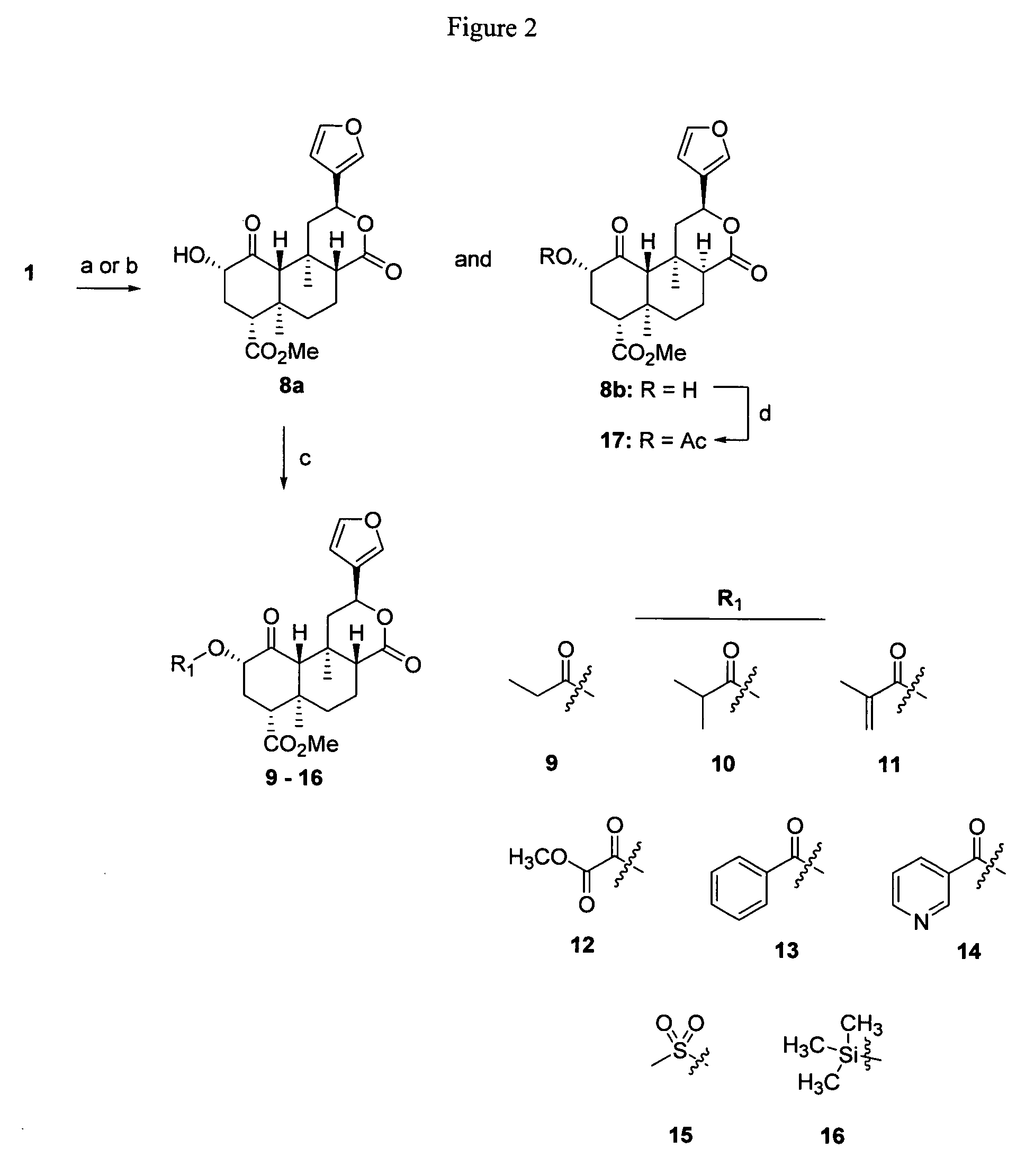 Opioid receptor ligands and methods for their preparation