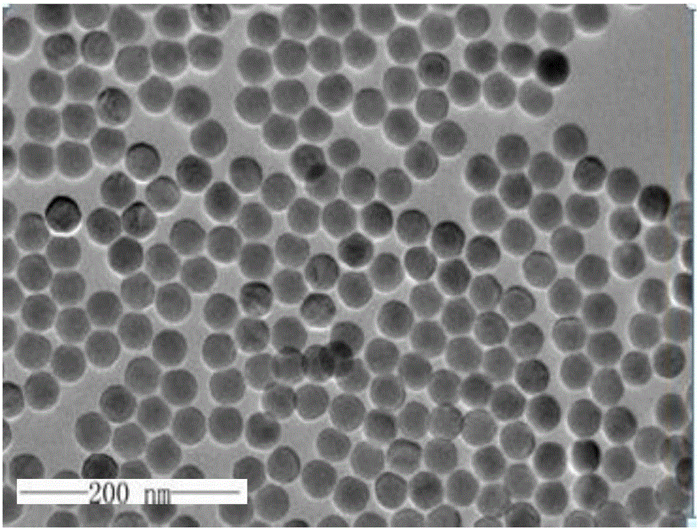 Highly doped rare earth up-conversion fluorescent nano material and preparation method thereof