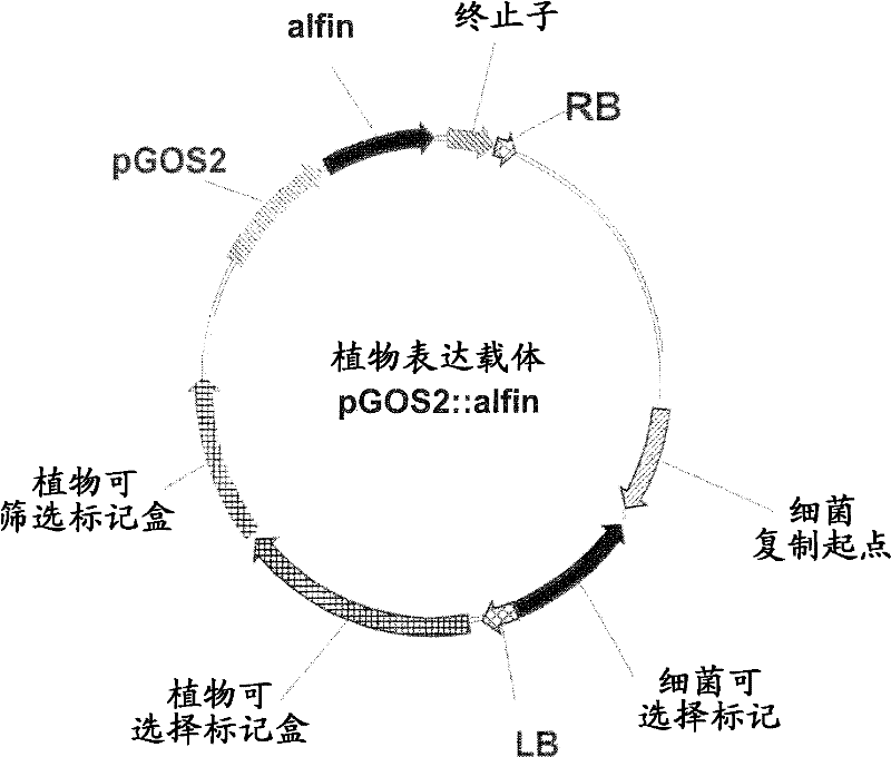 Plants with enhanced abiotic stress tolerance and/or enhanced yield-related traits and methods for their preparation