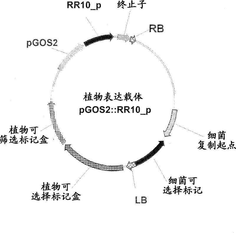 Plants with enhanced abiotic stress tolerance and/or enhanced yield-related traits and methods for their preparation