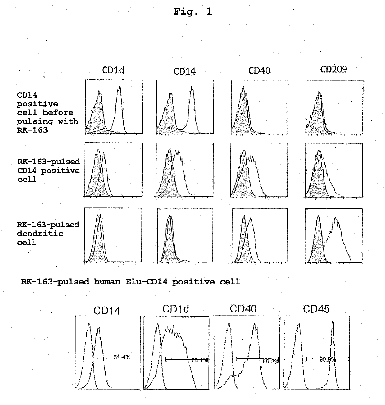 Technology for efficient activation of nkt cells