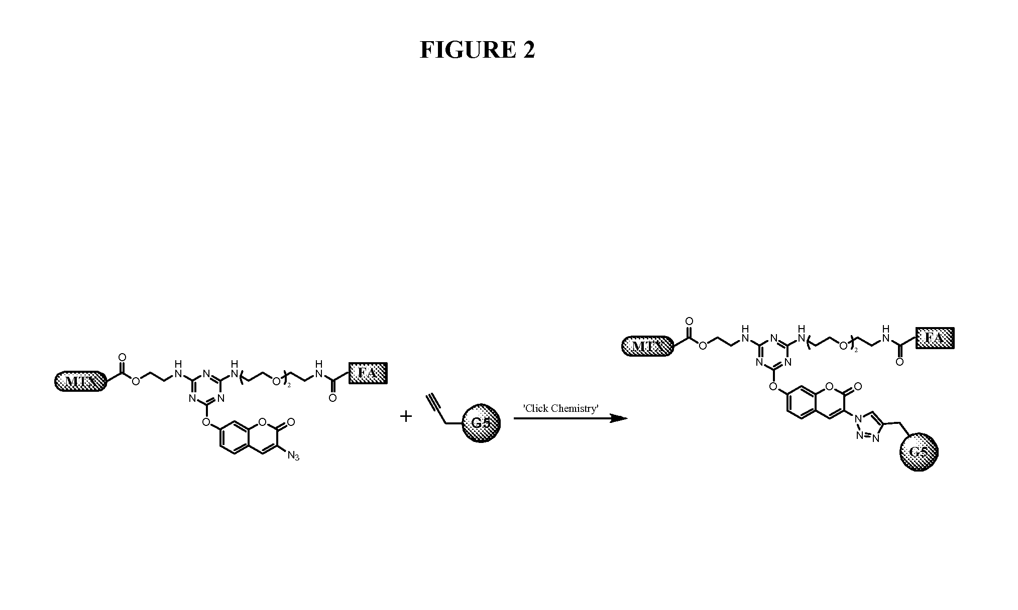 Multifunctional small molecules