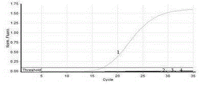Fluorescent quantitative PCR (polymerase chain reaction) detection primers and kit for Eimeria media-rabbit