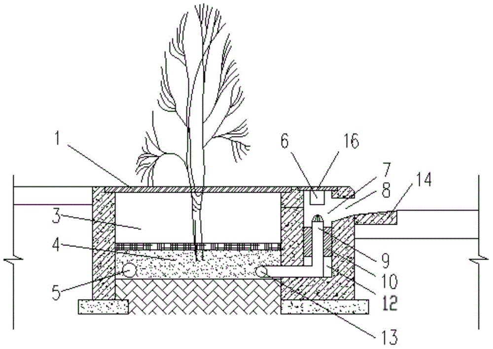 Tree pool and method for filtering runoff rainwater through tree pool