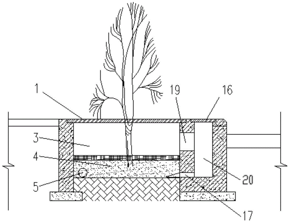 Tree pool and method for filtering runoff rainwater through tree pool