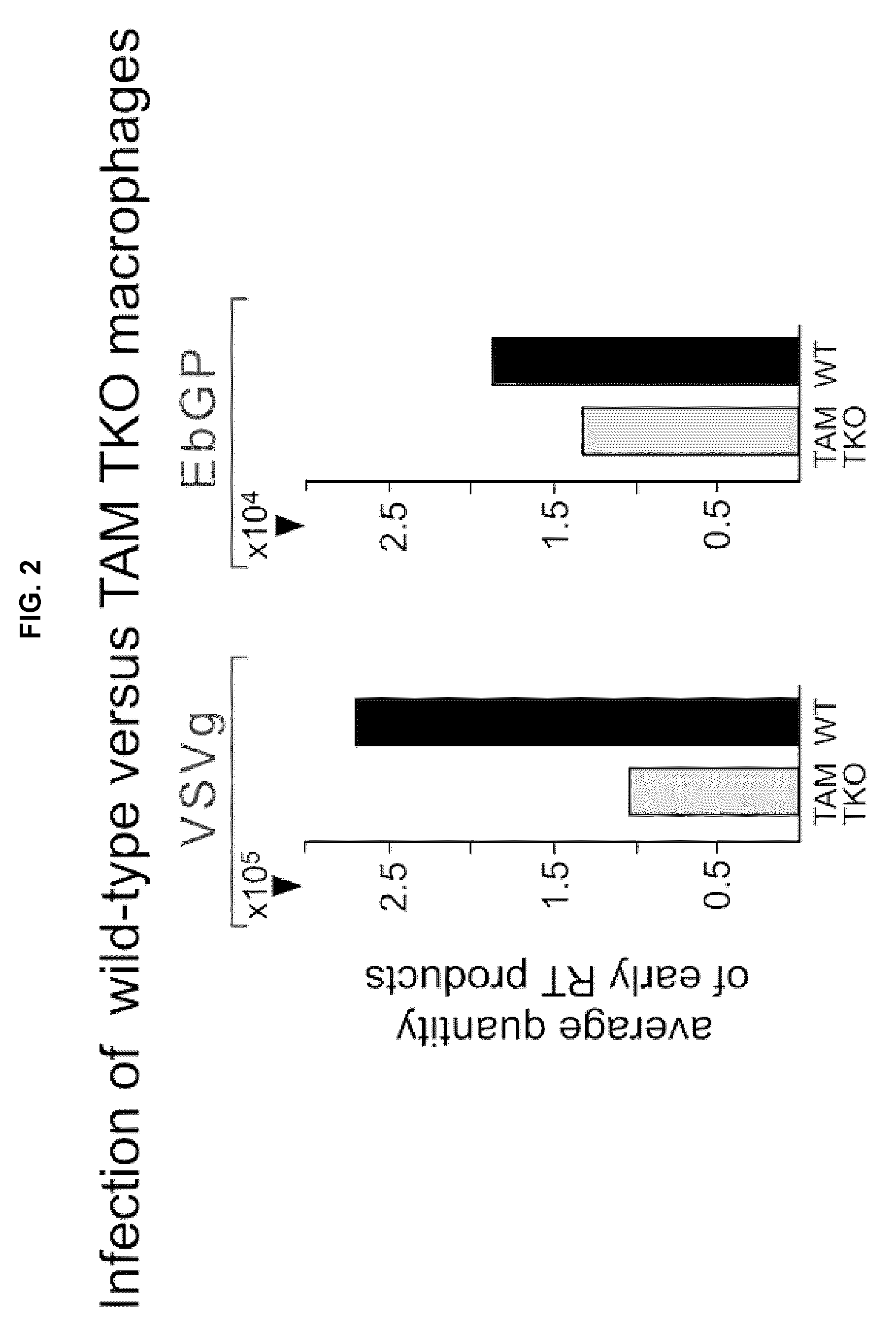 Use of tam receptor inhibitors as antimicrobials