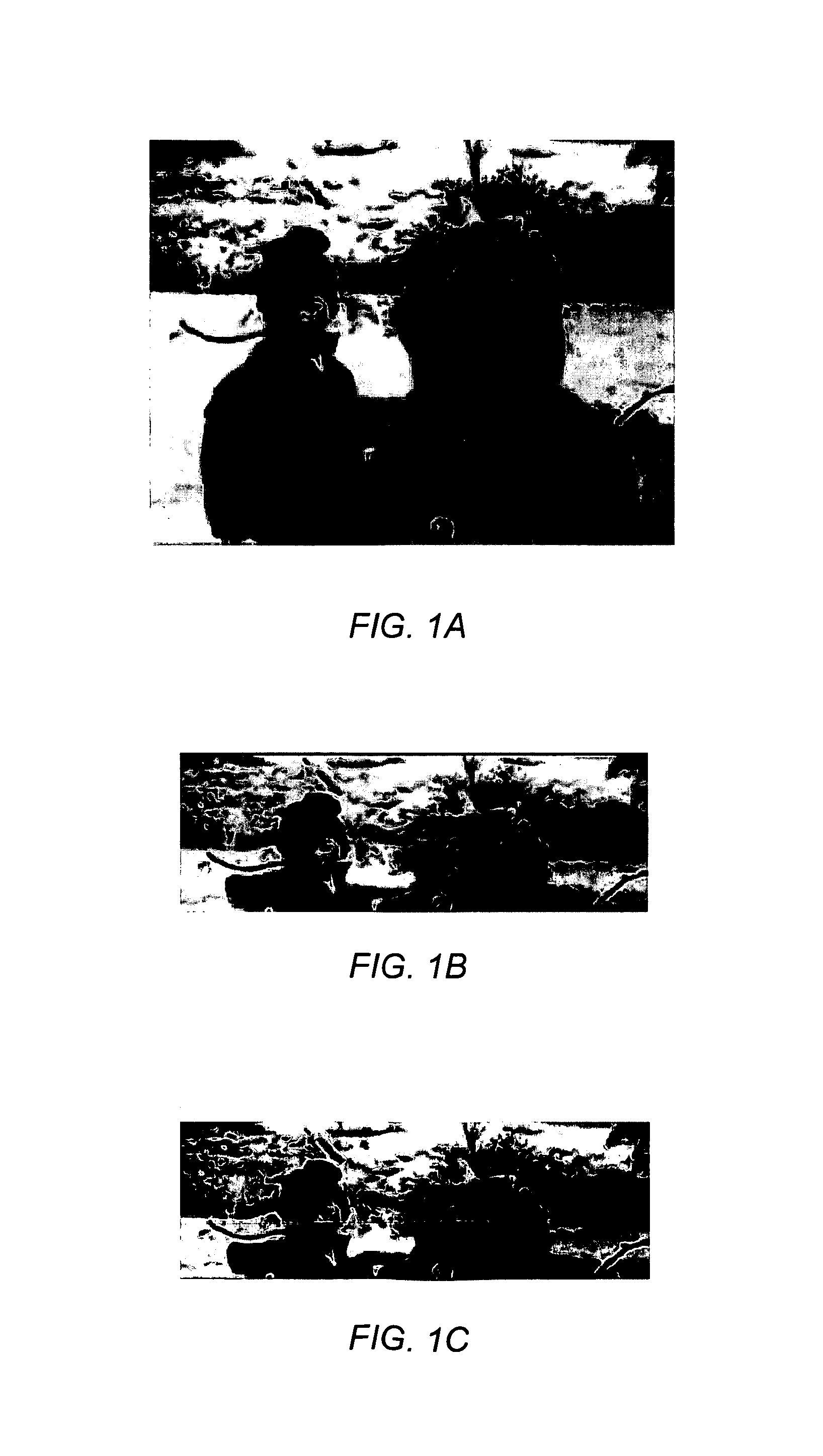 System and method for automatic skin tone detection in images