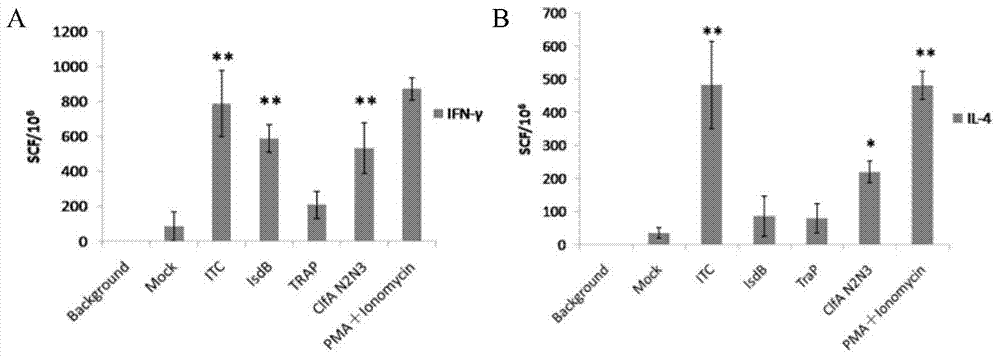 Staphylococcus aureus ITC (Inverse Transition Cycling) fusion protein as well as preparation method and application thereof