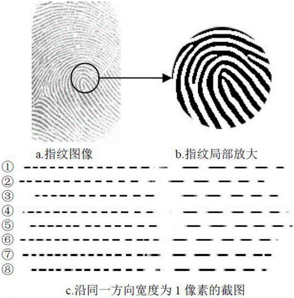 Fingerprint classification method based on fractal dimension and fingerprint three-level classification method