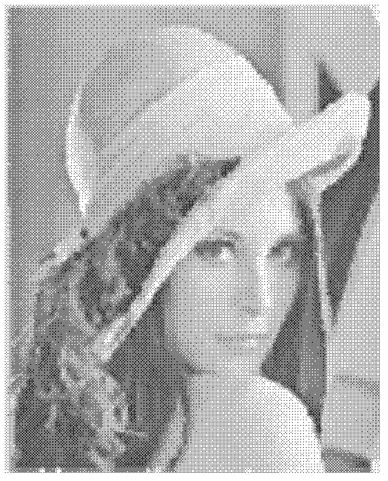 Method for de-noising of balanced morphology filter image optimized by particle swarm