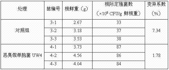 Method for detecting root colonization of plant growth-promoting rhizobacteria