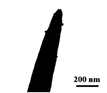 Construction method of photoelectrochemical aptasensor based on gold/zinc oxide composite material and detection method for bisphenol A