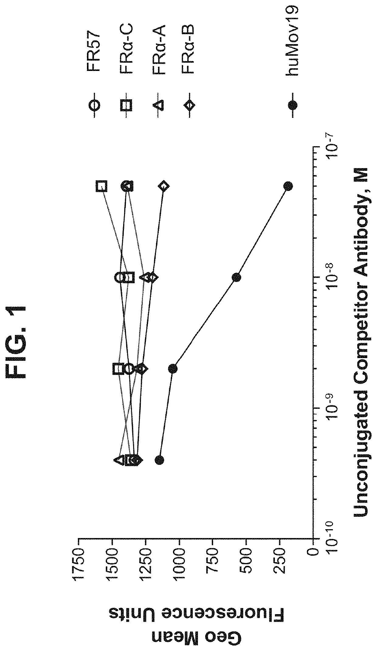 Biparatopic FR-α antibodies and immunoconjugates