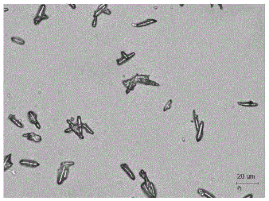 Preparation method of aluminate and sodium stearate in-situ modified calcium carbonate whiskers