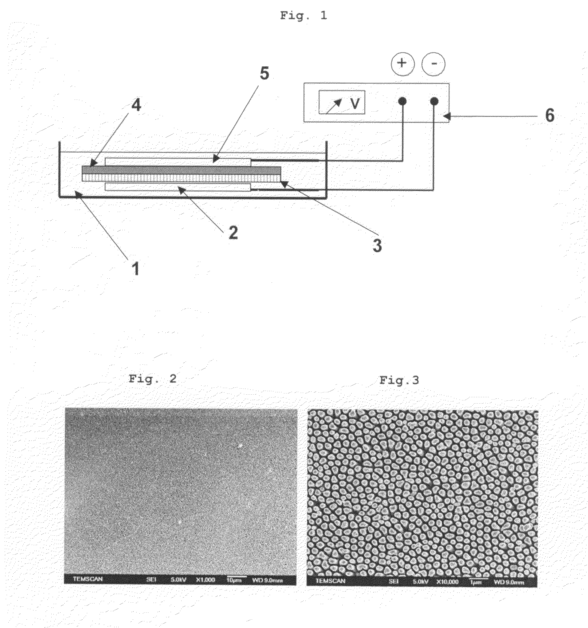 Method for the Electrolytic Production of Self-Supporting Conductive Nanocomposite Elements