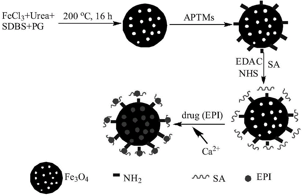 Preparation method of porous ferroferric oxide composite nanometre microspheres efficiently loaded with pharmorubicin
