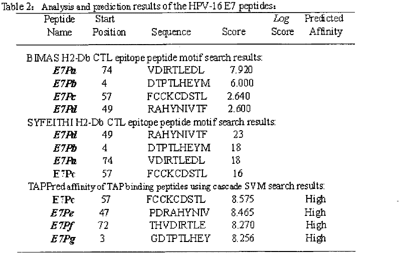 Screening and verifying of human papilloma virus (HPV) 16 tripeptide vaccine and construction of tumor animal model for continually expressing HPV16 E5, E6 and E7